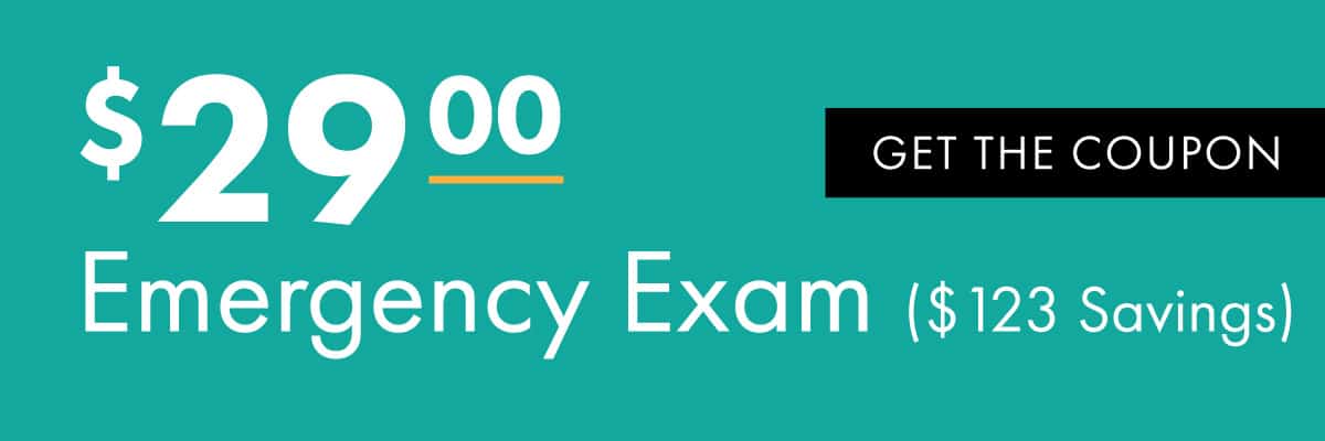 Emergency exam coupon offering discounted rates for urgent medical assessments and consultations.

